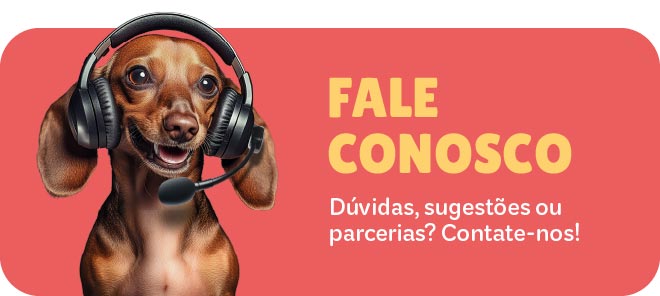 Fale conosco pelo WhatsApp